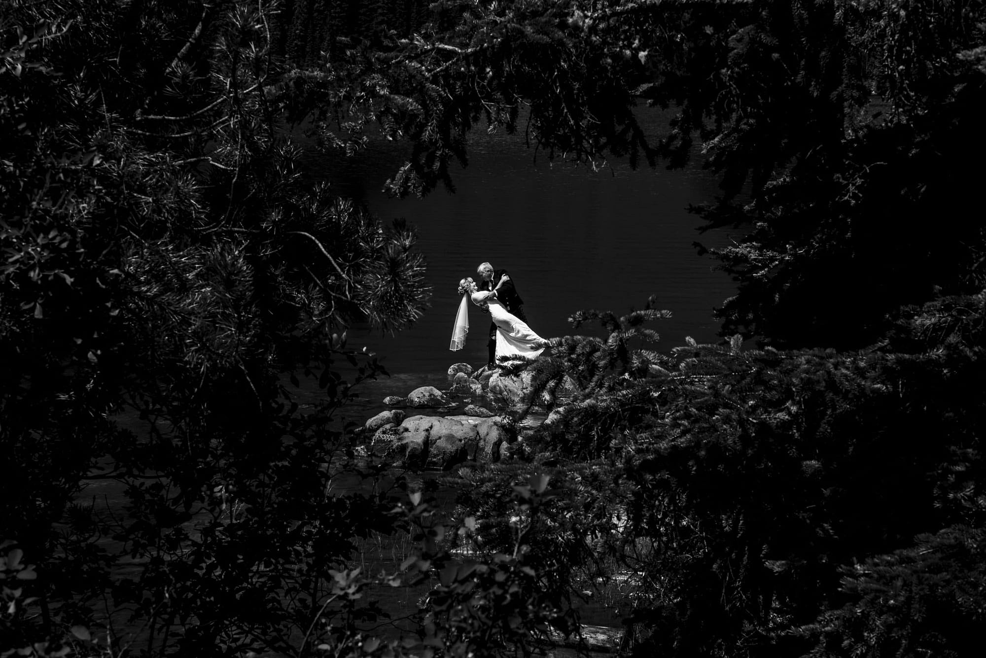 black and white photo of couple shot through the trees- getting married in Jasper Alberta